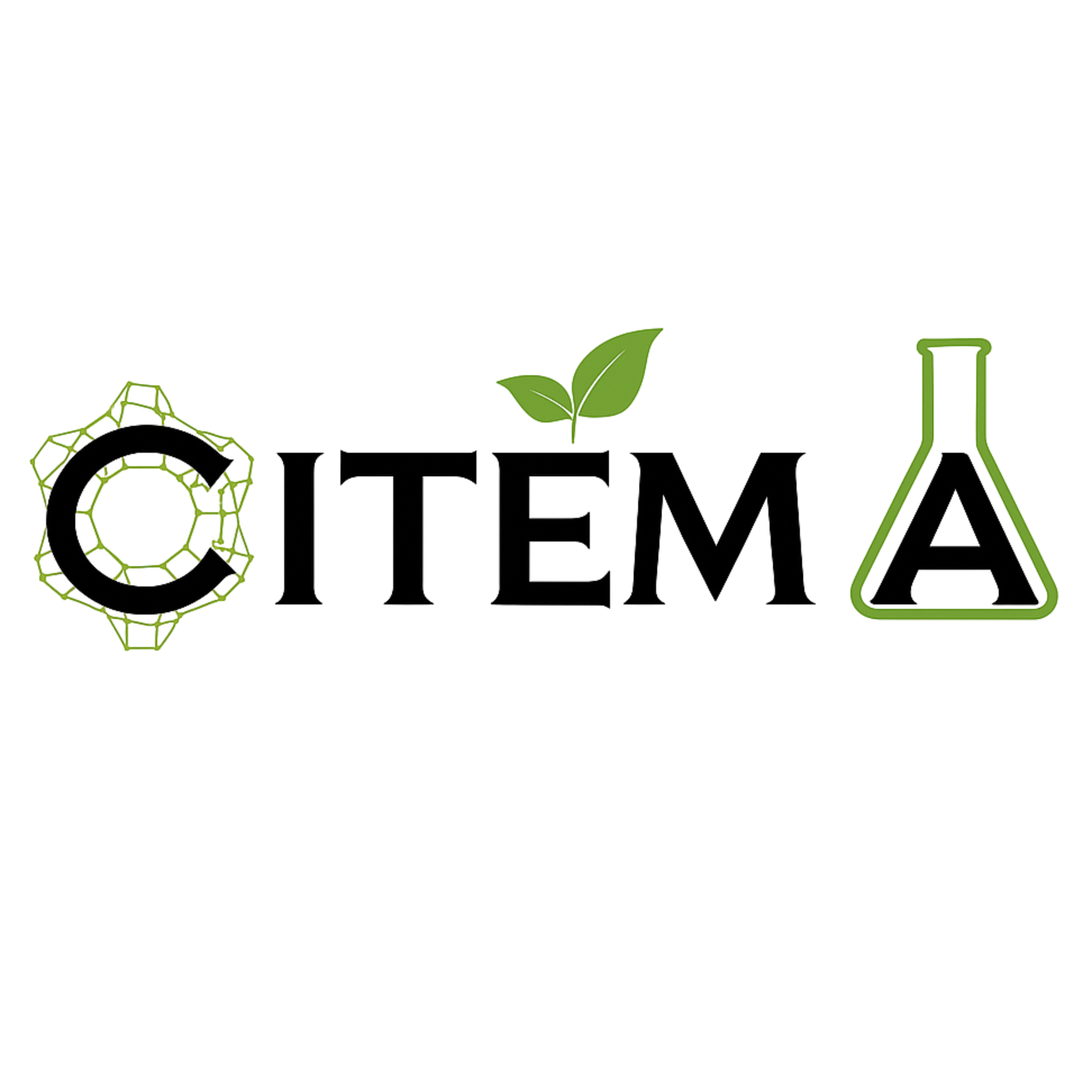 Logo de Centro de Investigación y Tecnología de Materiales